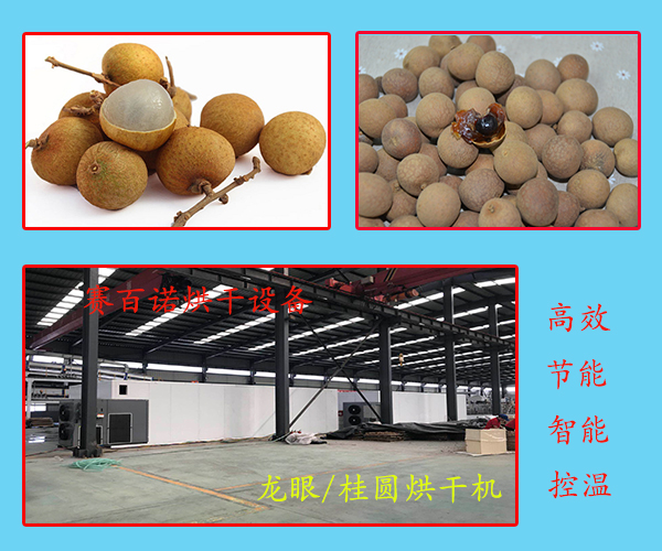 許昌桂圓烘干機多少錢
