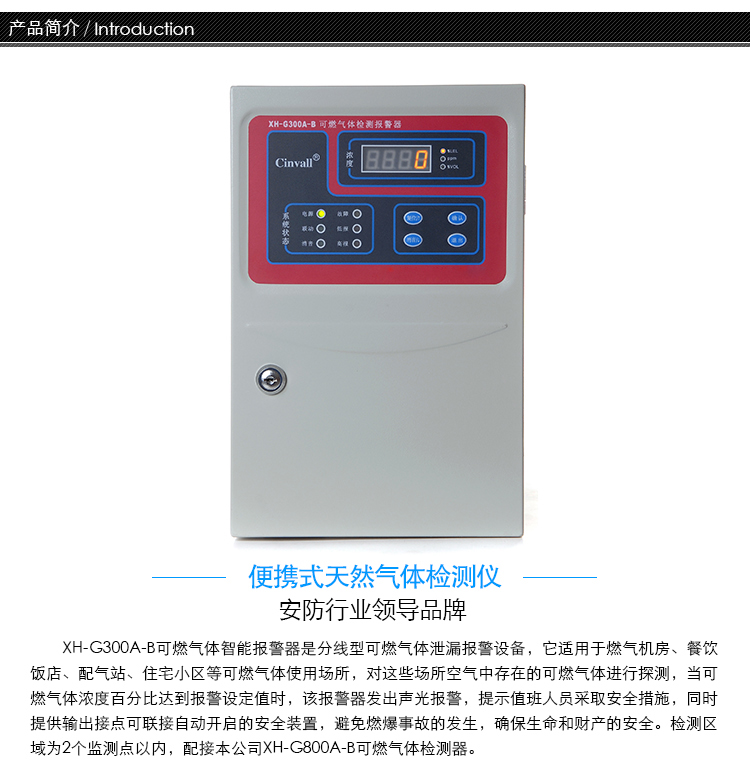 XH-G300A甲醇報警器