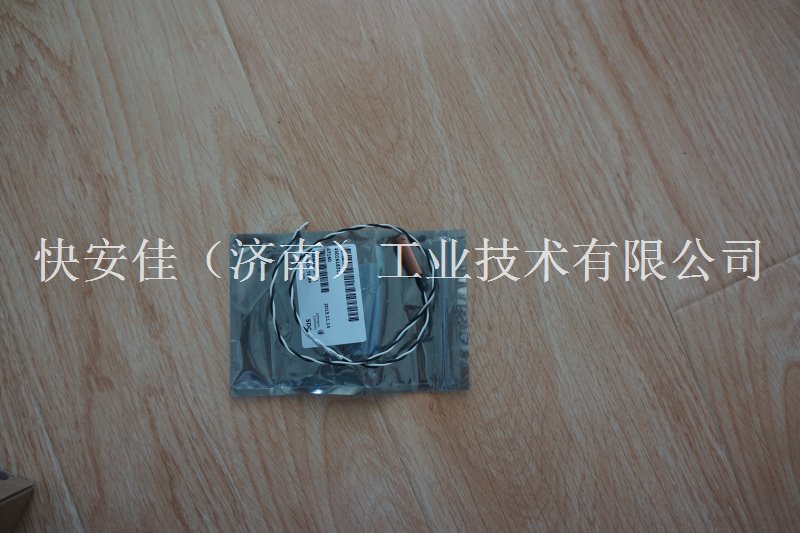 約克FRICK溫度探頭640A0035H01