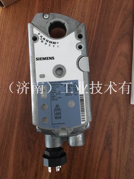 約克液位執(zhí)行器025-38178-000
