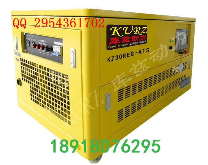 35KW智能化汽油發(fā)電機(jī)三相報價