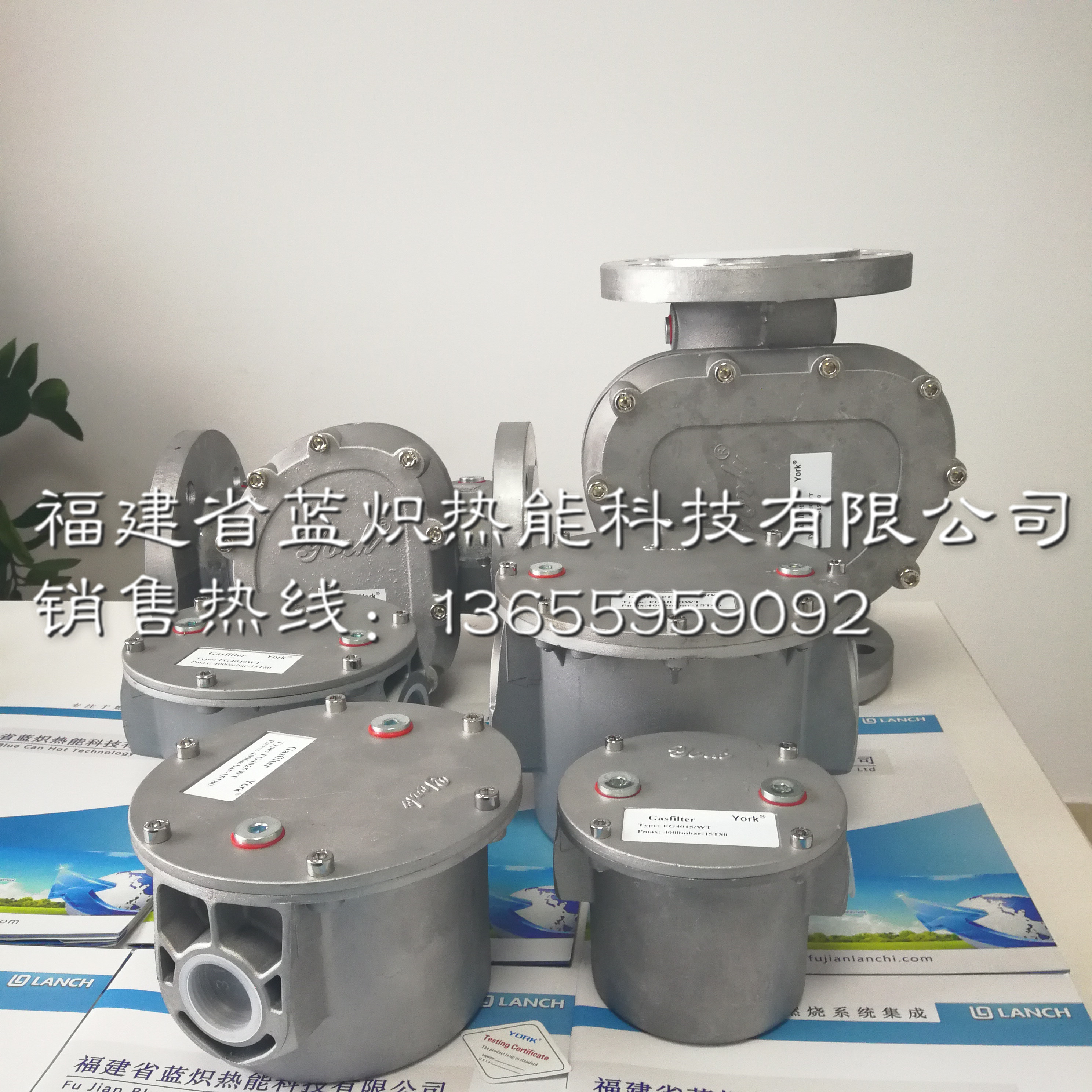 York天然氣/氣體過濾器小口徑WT螺紋連接，F(xiàn)T法蘭連接