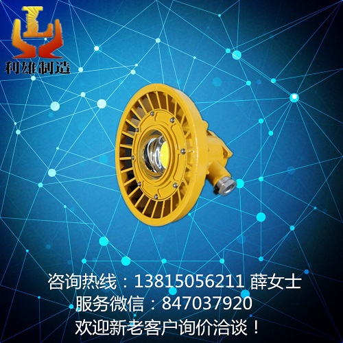 DGS24/127L 礦用LED防爆巷道燈 礦用隔爆型led照明燈