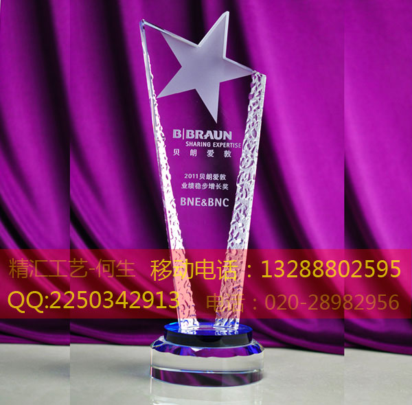 株洲企業(yè)銷售之星水晶獎(jiǎng)杯，株洲企業(yè)銷售冠軍水晶獎(jiǎng)杯