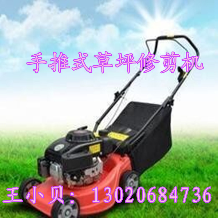 多功能汽油割草機 園林專用手推式剪草機