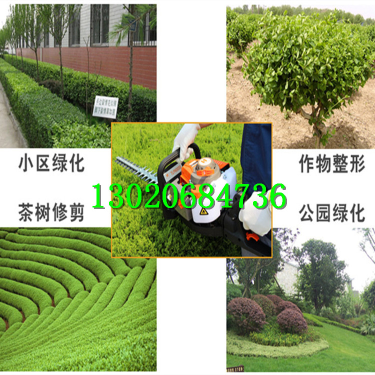 單刀綠籬機(jī) 汽油綠籬機(jī)
