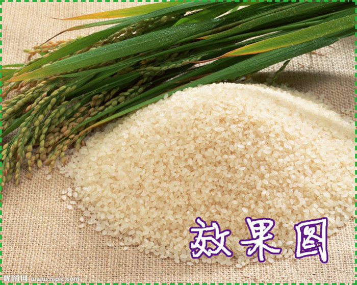 稻谷雜糧碾米機 大產(chǎn)量谷子脫皮機