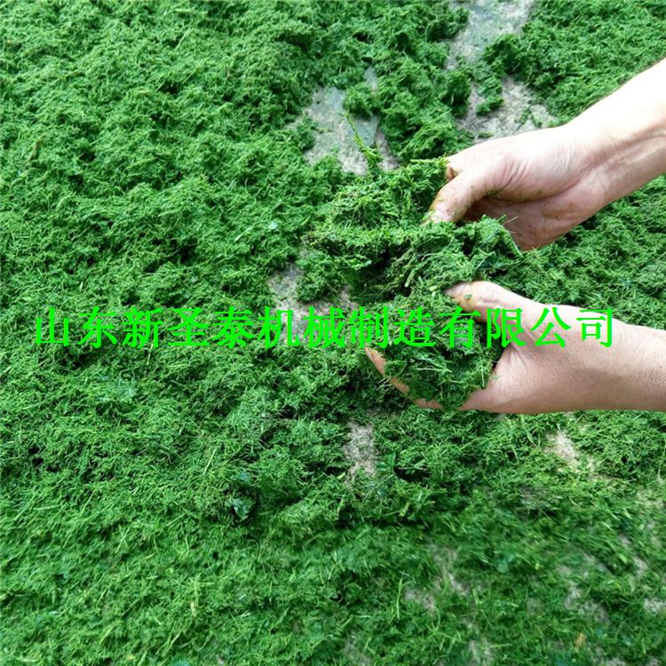 南寧多功能飼料打漿機廠家