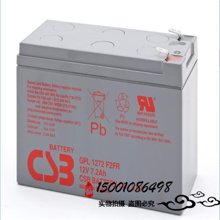 CSB鉛酸蓄電池GP121000免維護(hù)電池12V100AH高能長壽命