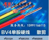 鍦嬫淇濇BV 120骞虫柟闆荤窔