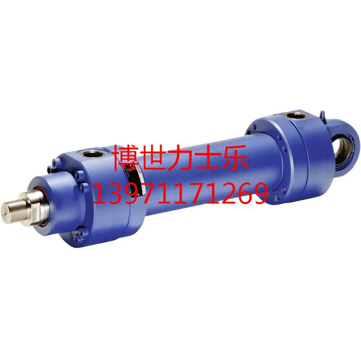R901029881DBW 10 A2-5X/100-6EW230N9K4