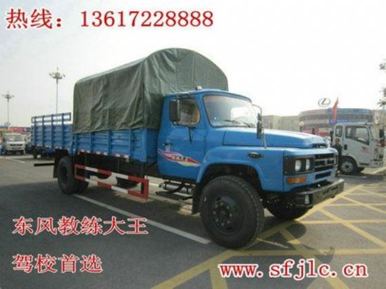 湖南哪里供應(yīng)尖頭東風(fēng)神宇教練車