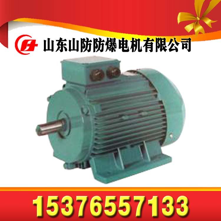 DSB40防爆三相異步電動(dòng)機(jī)礦用直銷