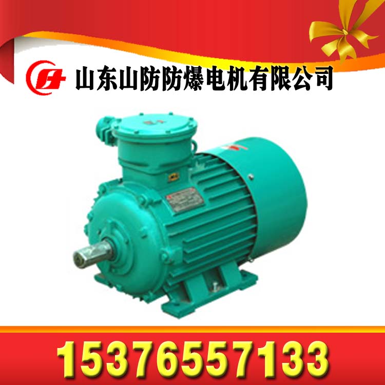 山防供應(yīng)JDSB30防爆電動(dòng)機(jī)【說明書】【安裝圖】
