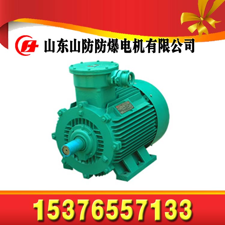 供應YE2-280M-2三相異步電動機【山防品牌】〖安裝圖〗