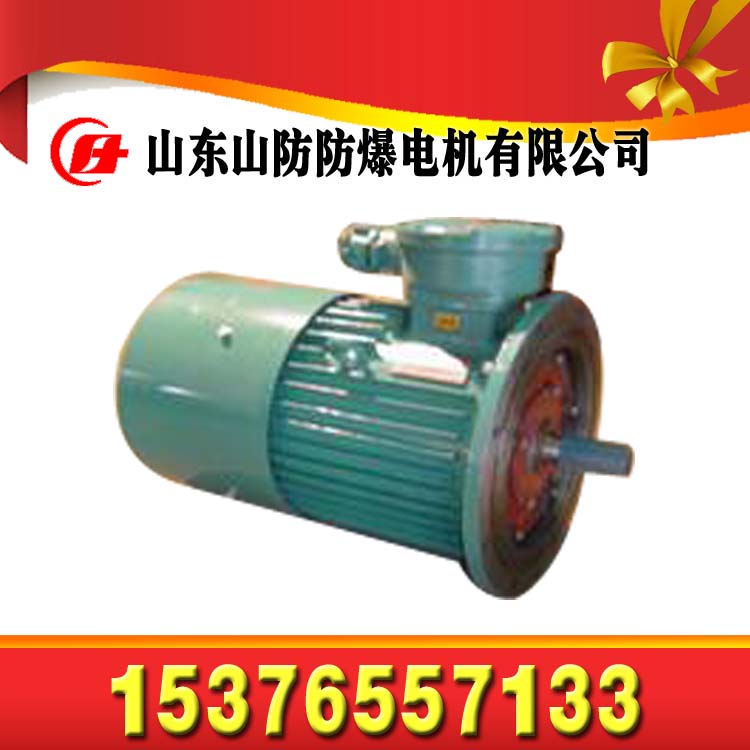 高效節(jié)能YE2-315M-2防爆三相異步電動(dòng)機(jī)