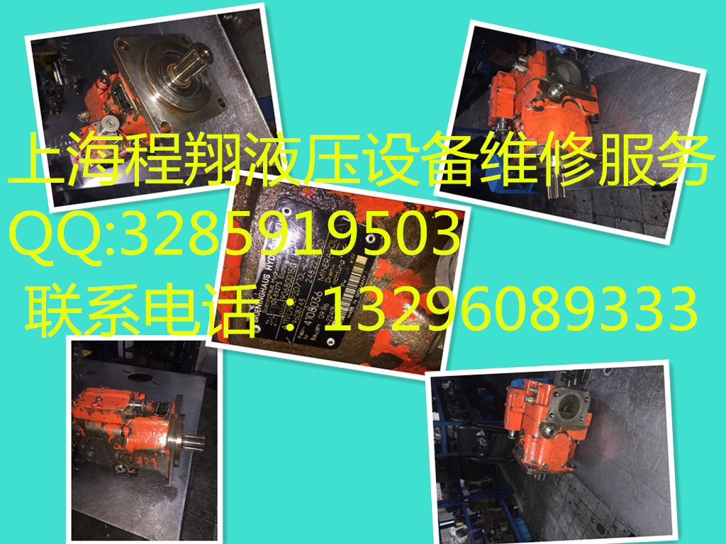 專業(yè)維修A11VO95EP2D力士樂液壓油泵