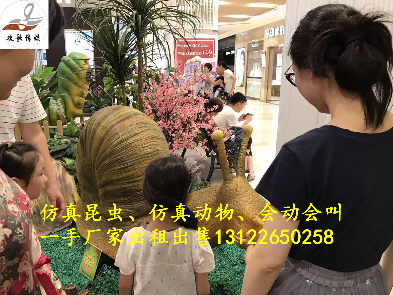 仿真昆蟲(chóng)展覽，上海仿真昆蟲(chóng)制作廠家，全國(guó)服務(wù)