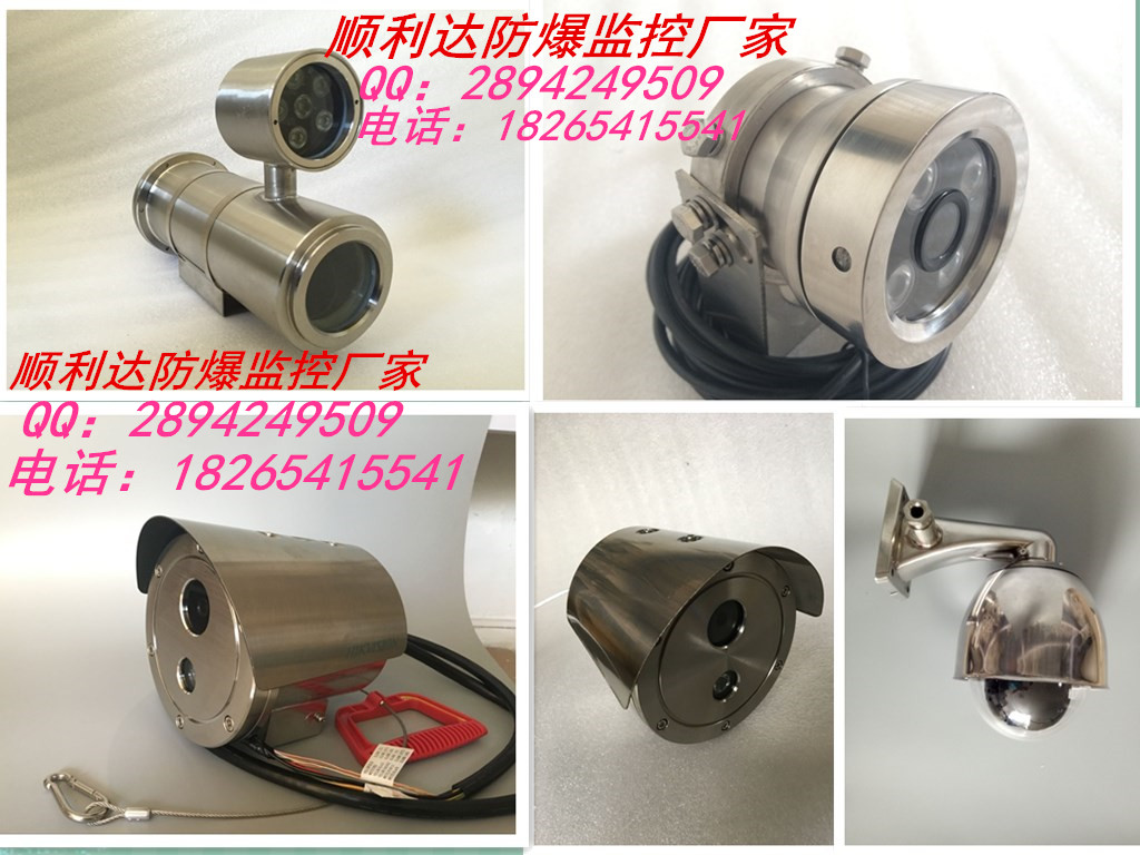 順利達防爆攝像機，海康大華，機芯可選配，紅外網(wǎng)絡(luò)防爆球機
