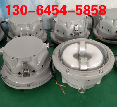SAF1055D長壽無極頂燈 長壽型