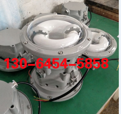 LHF2176長壽防眩頂燈 長壽型