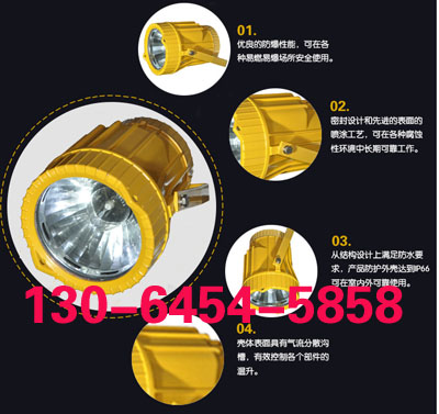 防爆外場強(qiáng)光泛光燈MAC8110/HN-J250W
