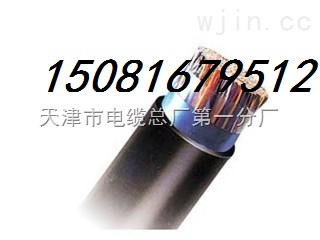 井下主傳輸信號(hào)電纜MHYVP2 銷售價(jià)