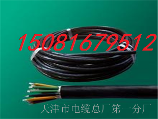 阻燃計算機電纜ZR-DJYVP、ZR-DJYPV、ZR-DJYPVP
