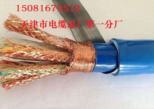 電纜批發(fā)ZR-DYVRP22阻燃儀表電纜