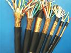 ZR/DJVPVRP/計算機(jī)電纜ZR/DJVPVRP/計算機(jī)電纜