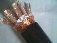 銷售450/750V計(jì)算機(jī)電纜DJYVP廠家