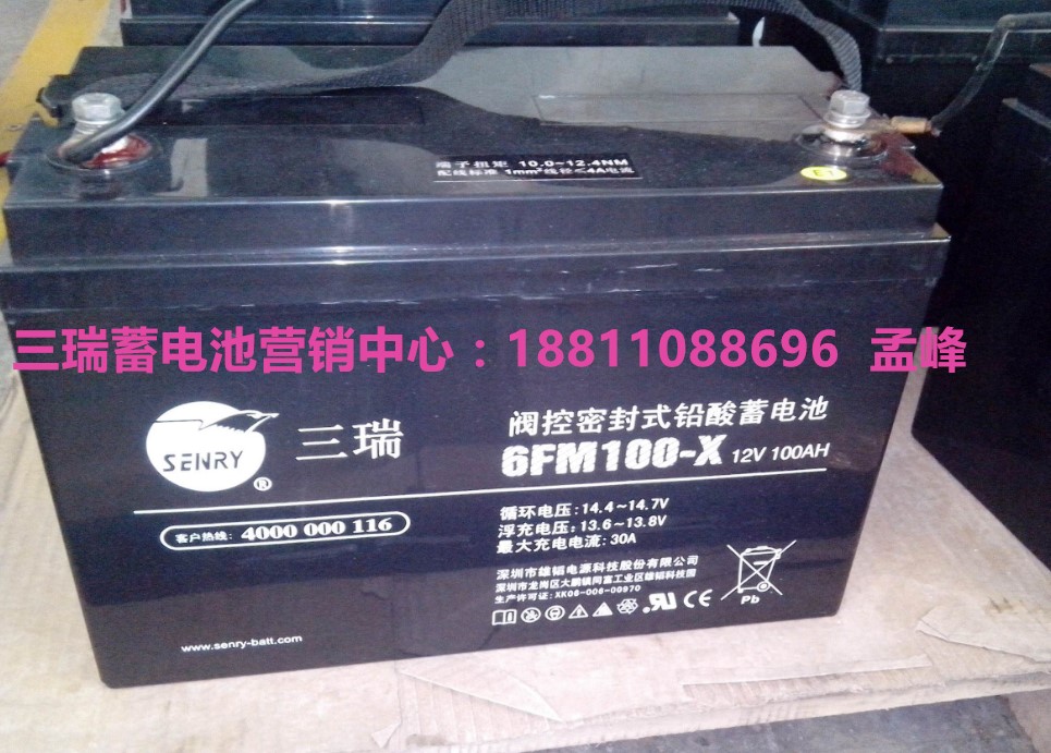 海南供應(yīng)三瑞蓄電池-CG2-300/行情價(jià)格
