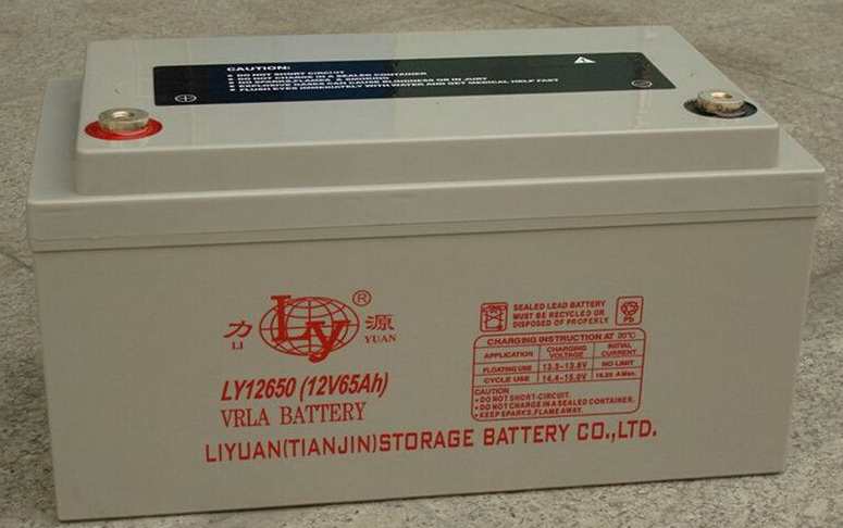 廣東鉛酸理士蓄電池DJW12-12/信息