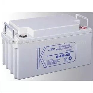 科士達蓄電池12V100AH
