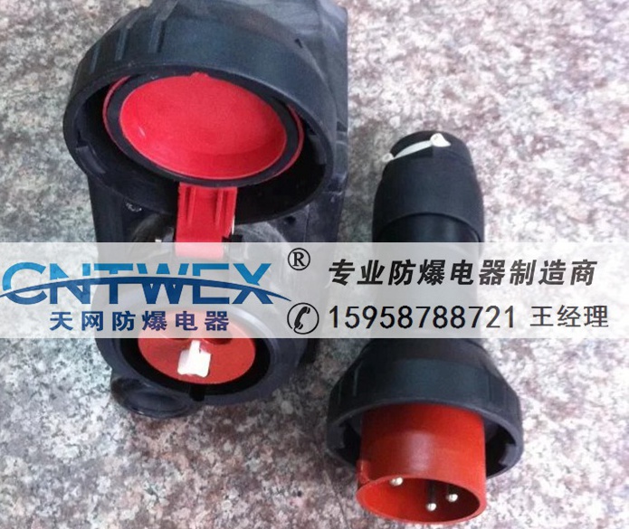 BCZ8060-63A 100A防爆防腐插接裝置(IIC)