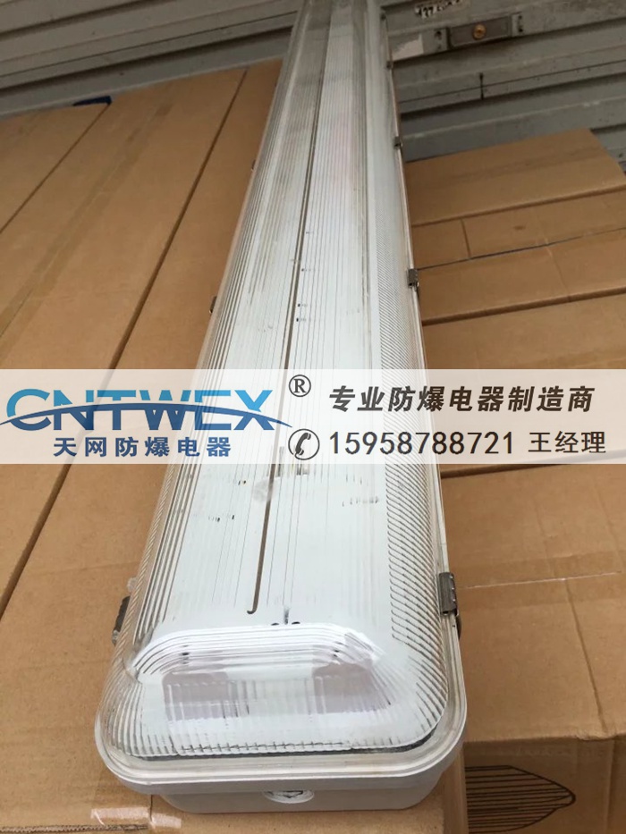 BFY51-2*18W防爆雙管全塑熒光燈可帶應(yīng)急裝置