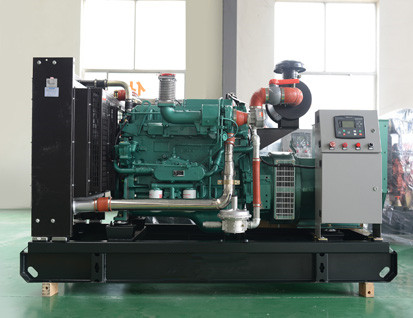 大型養(yǎng)鴨場專用玉柴300kw沼氣發(fā)電機(jī)組 可熱電聯(lián)產(chǎn)