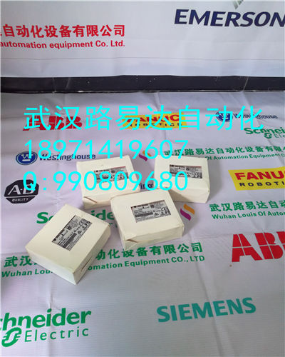 4D33676G01