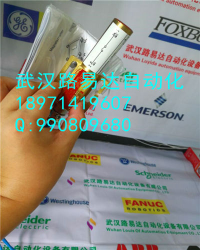 DCS系統(tǒng)IPBLK01