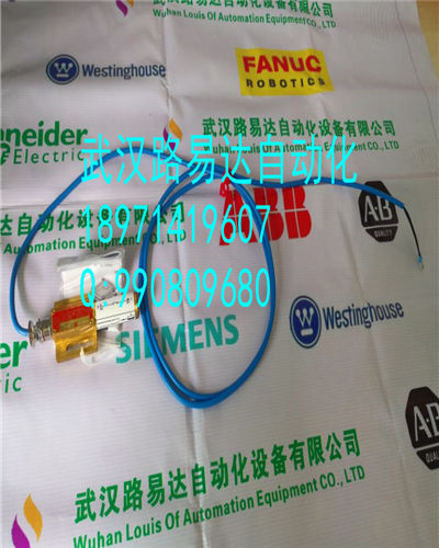 DCS系統(tǒng)IMMFP01