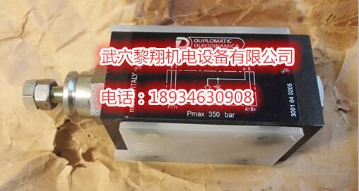 進(jìn)口迪普馬RQM3-P6/A/60N-A230K1