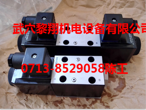 W2N220N-6AB2-24VDC瑞士布赫閥
