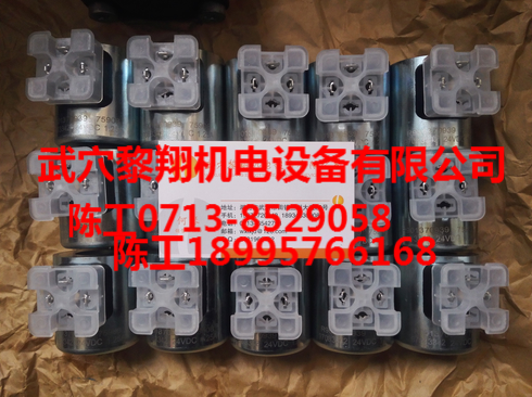 R900021389力士樂(lè)線圈大量現(xiàn)貨
