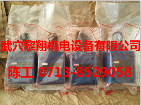 德國現(xiàn)貨力士樂DBDS10P10/100