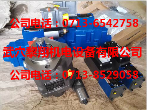 現(xiàn)貨力士樂單向閥M-SR10KE05-1X