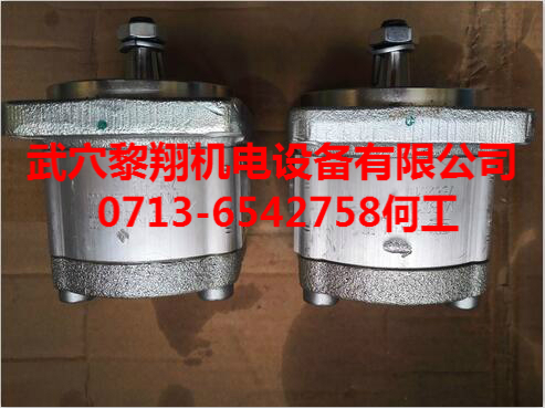 0510525324現(xiàn)貨力士樂齒輪泵