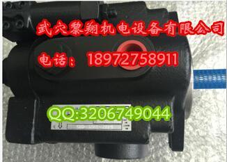 法國(guó)丹尼遜液壓泵T6E 050 2R01 A1