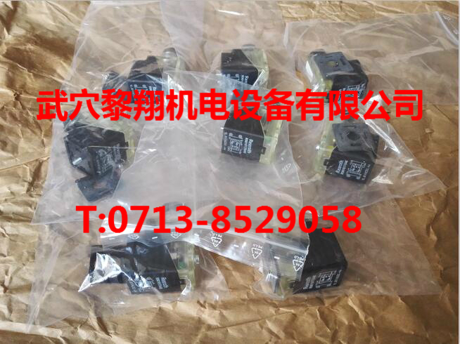 大量現(xiàn)貨插頭R901017048德國力士樂
