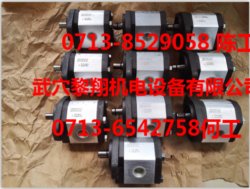 Bucher 齒輪泵 QX22-006R09