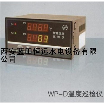 標(biāo)準(zhǔn)產(chǎn)品通訊接口WP-D溫度巡檢儀